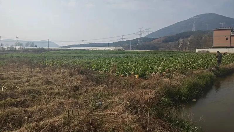 禄劝彝族苗族自治县九龙镇优质水田，农业创业理想之选！
