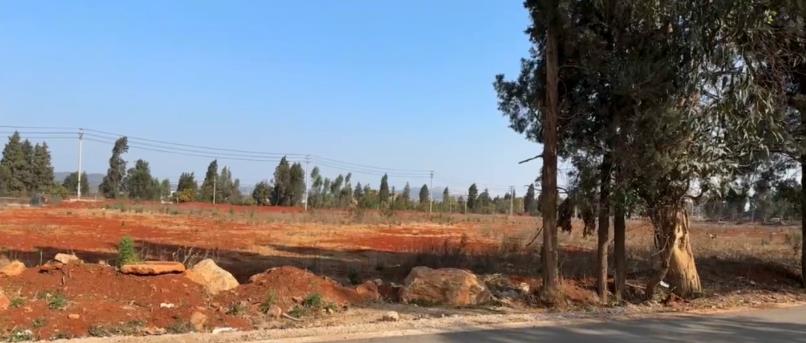 大板桥园艺场东南 82 米处有 180 多亩土地转让