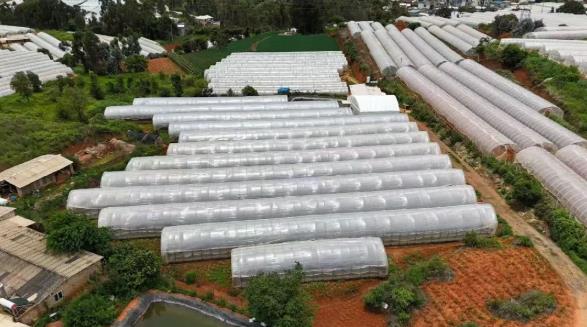 晋城段七10亩种植用地转让