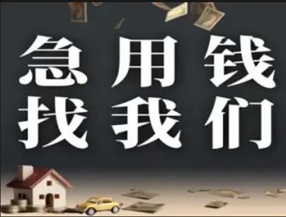 泽龙咨询2W-300W全场景周转服务