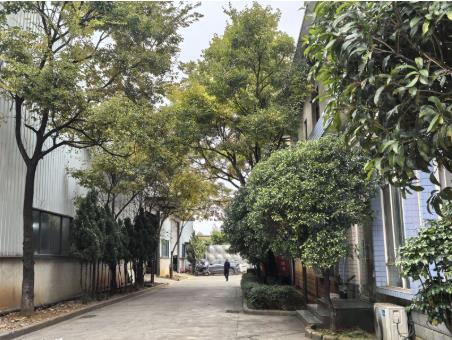 房东直租｜杨林工业园 10000㎡标准厂房 可分租