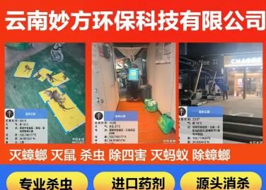 云南妙方环保｜昆明专业除四害｜灭鼠灭蟑｜全域虫害消杀｜一年质保