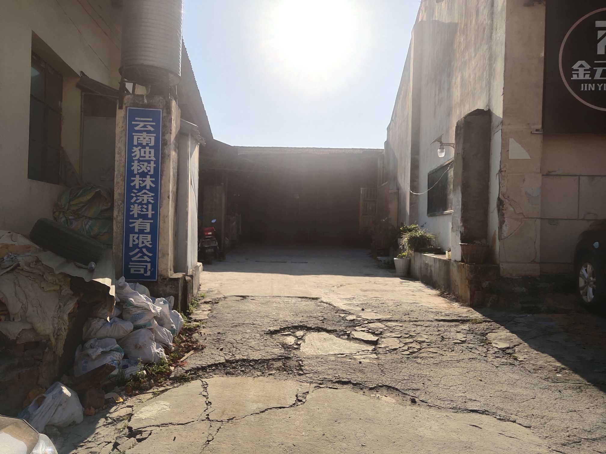 云南独树林涂料有限公司的图标