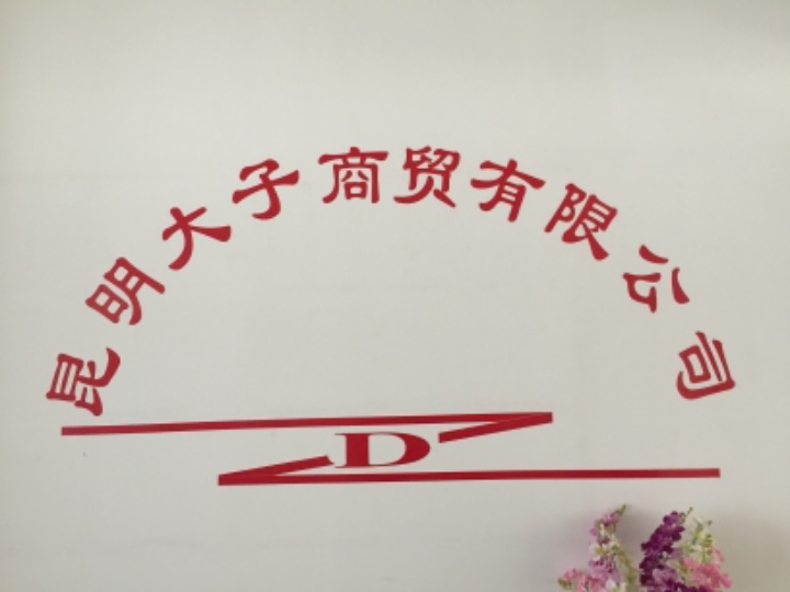 昆明大子商贸有限公司的图标