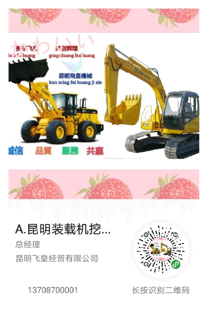 昆明飞皇经贸有限公司的图标