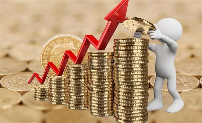 云南新桥财务管理有限责任公司的图标