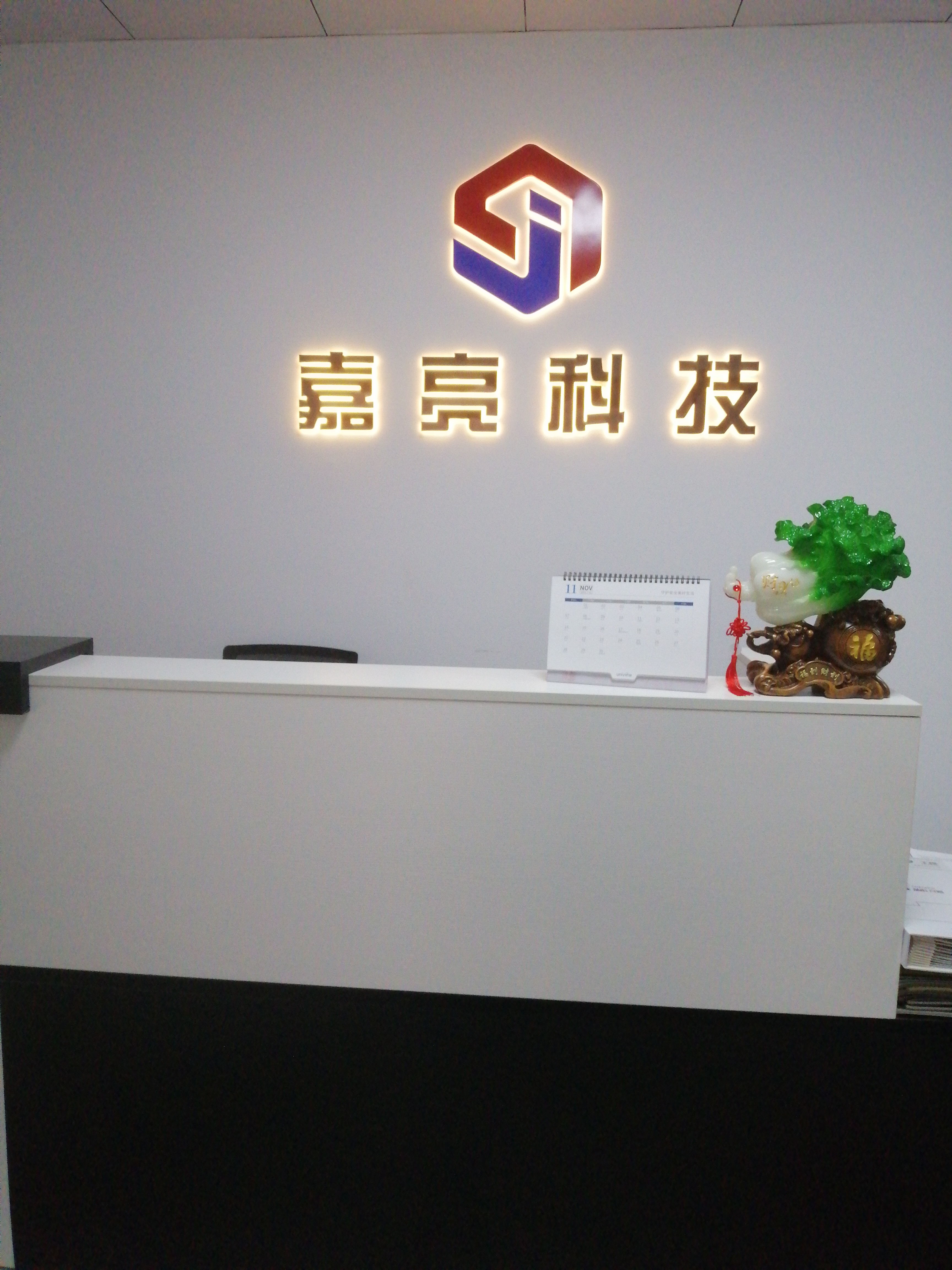 云南嘉亮科技有限公司的图标