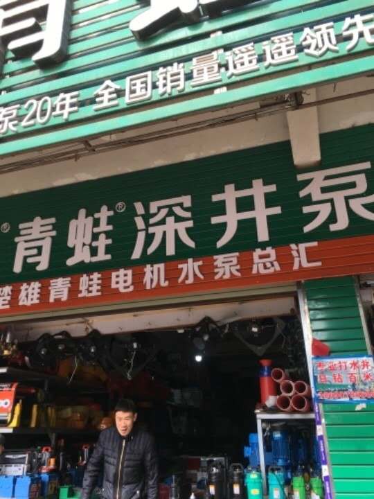 楚雄市鹿城青蛙水泵经营部的图标