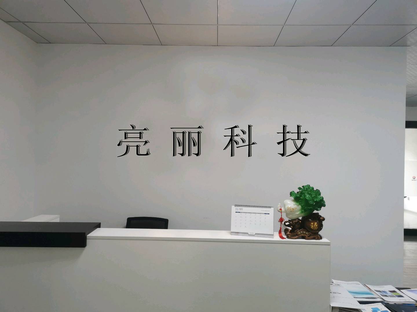 云南亮丽科技有限公司的图标